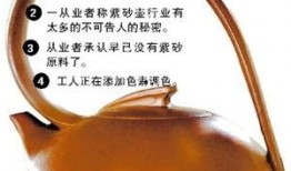 紫砂爆料新闻视频大全,揭秘新闻视频大全背后的精彩瞬间