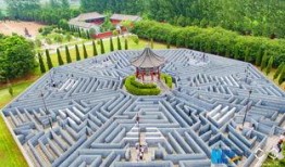 长春教育八卦阵爆料新闻,揭秘校园热点事件背后的真相