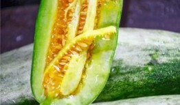 全网网红吃瓜网,揭秘娱乐圈幕后真相！