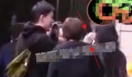 狗仔爆料的视频大全集,揭秘娱乐圈幕后真相